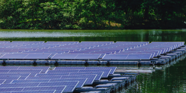 A large array of blue solar panels mounted on floating platforms on a body of water near a treeline.